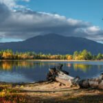 A beautiful shot of natural scenery in Autumn